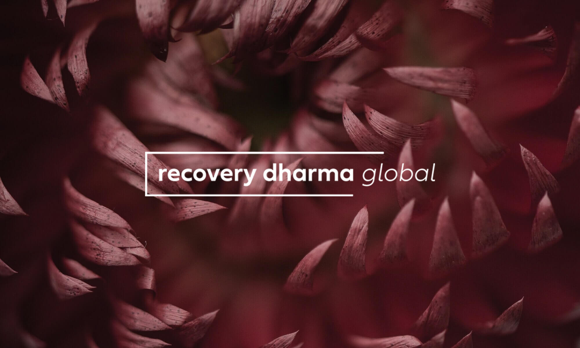 Resources — Refuge Recovery World Services